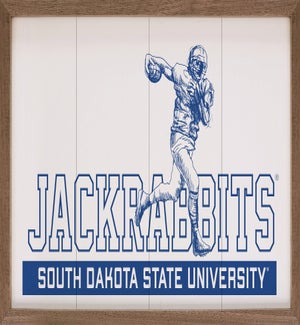 Vintage Football South Dakota State University